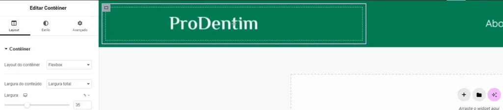tela elementor conteiner